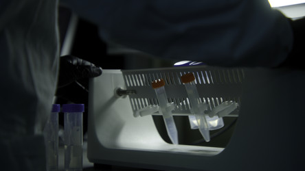 Similar image 22481034