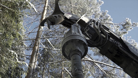 Similar image 22481213