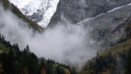 Similar image 22481258