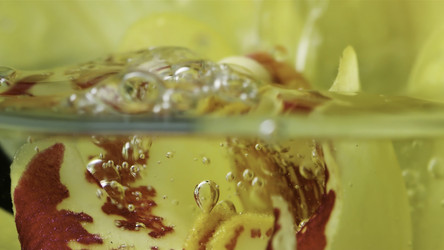 Similar image 22481273