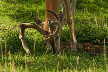 Similar image 22585658