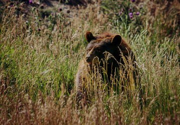 Similar image 22585675