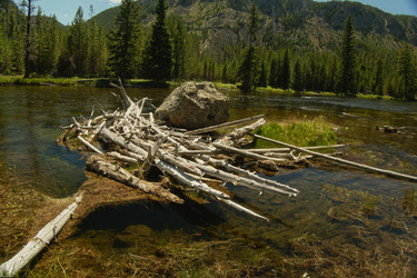 Similar image 22585697