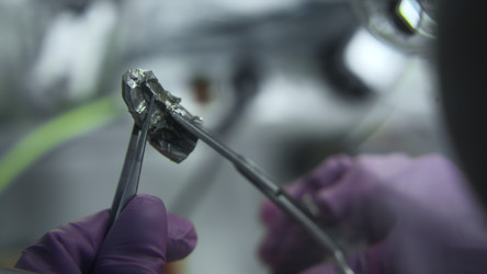 Similar image 22481708