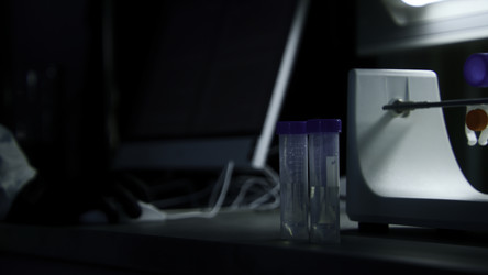 Similar image 22481753