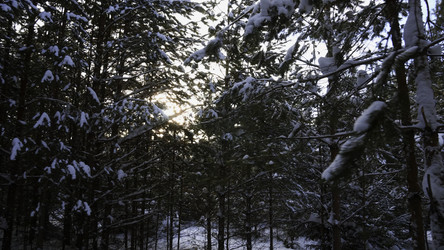 Similar image 22481754