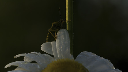 Similar image 22481888