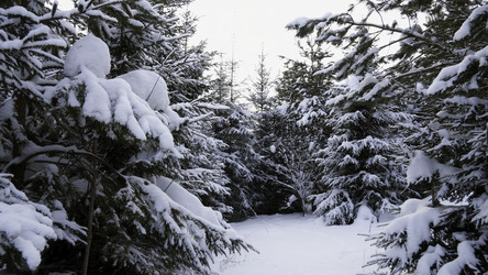 Similar image 22482039