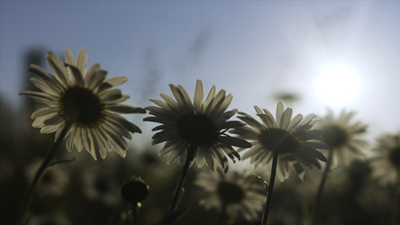 Similar image 22482247