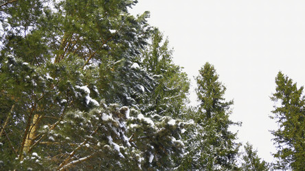 Similar image 22482261