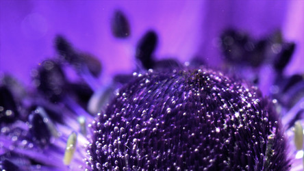 Similar image 22482457