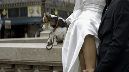 Similar image 22482470