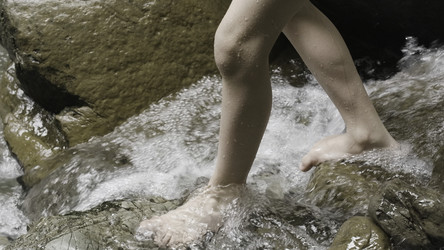 Similar image 22499999