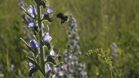 Similar image 22500090