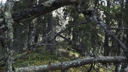 Similar image 22500345