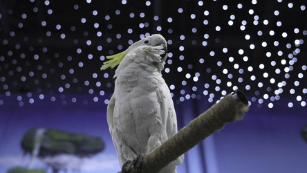 Similar image 22500376