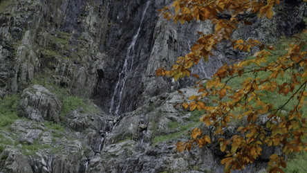 Similar image 22500390