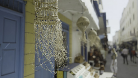 Similar image 22500510