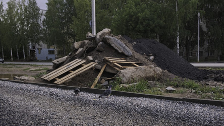 Similar image 22480915