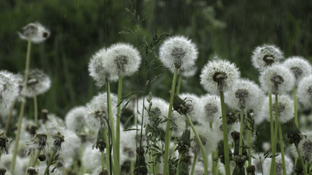 Similar image 22481035