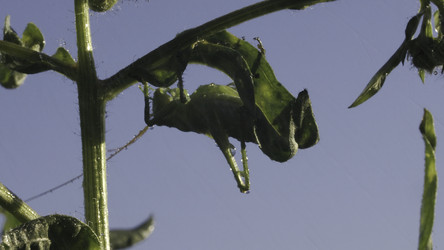 Similar image 22481365