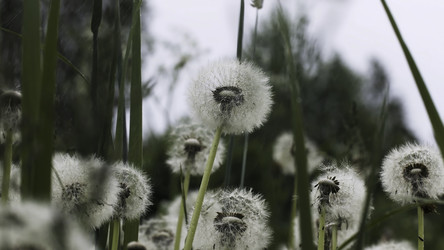 Similar image 22481560