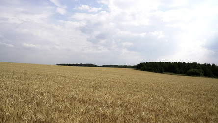 Similar image 22481918