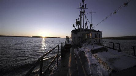 Similar image 22481965