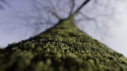 Similar image 22482024