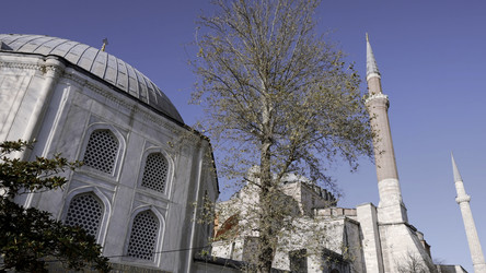 Similar image 22489807