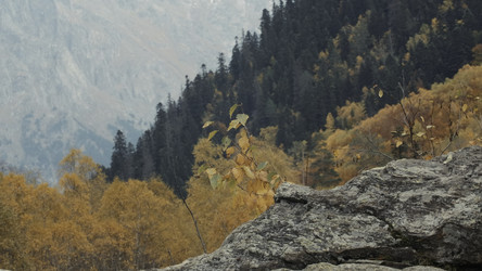 Similar image 22489836