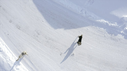 Similar image 22500332