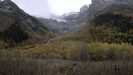 Similar image 22500346