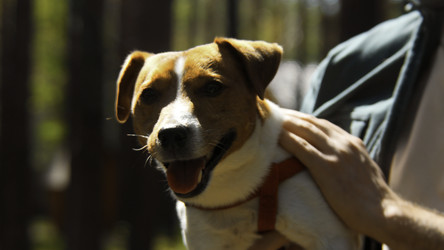 Similar image 22500404