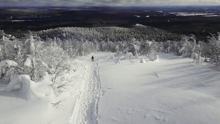 Similar image 22500420