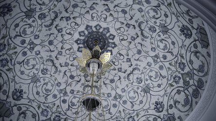 Similar image 22500482