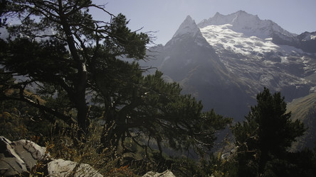 Similar image 22481080