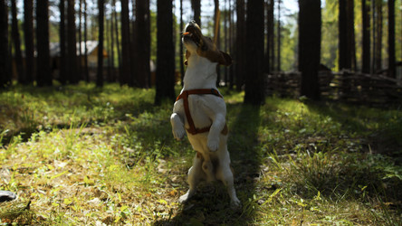 Similar image 22481740