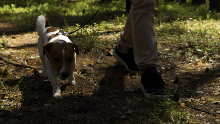 Similar image 22481757