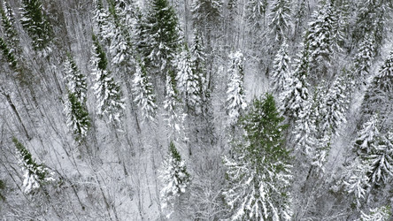 Similar image 22481785