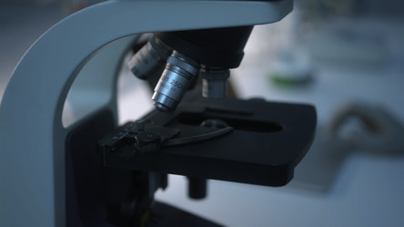 Similar image 22482041