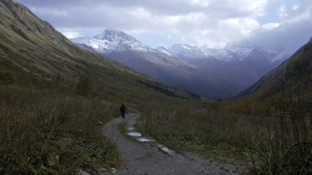 Similar image 22482503