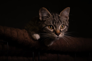 Similar image 22482532