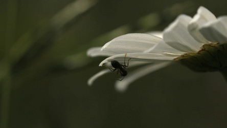 Similar image 22500168