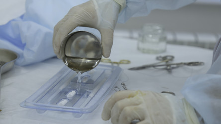 Similar image 22500254