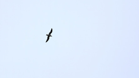 Similar image 22500334