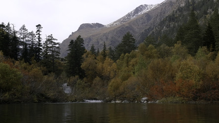 Similar image 22480902