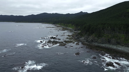 Similar image 22481741