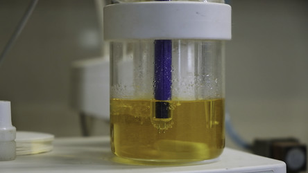 Similar image 22481845