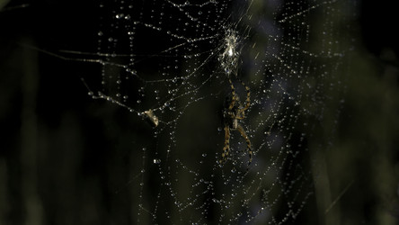 Similar image 22482054